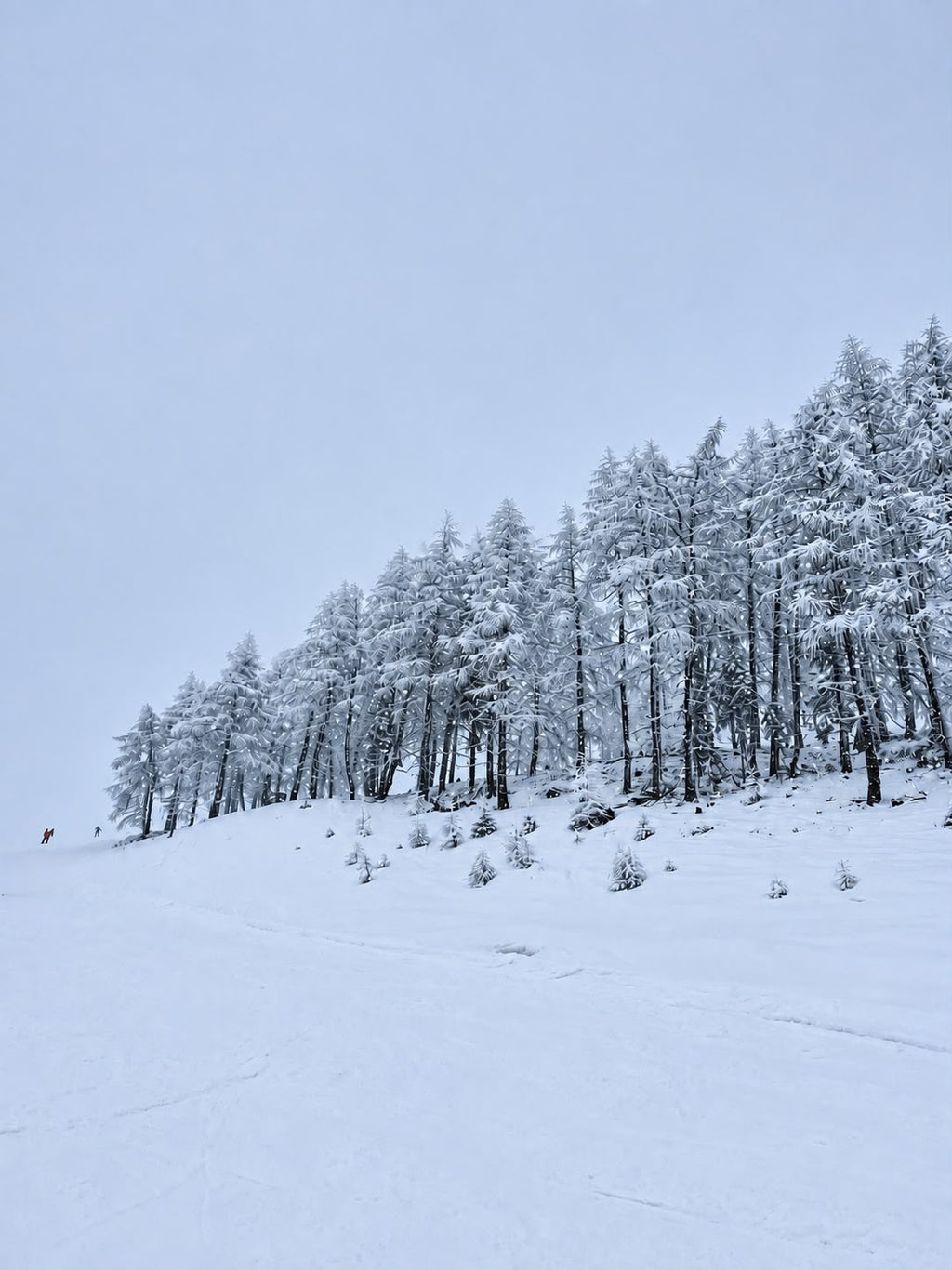 Winter Whisper – origineel SsenZz-design
