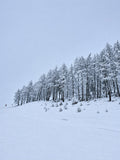 Winter Whisper – origineel SsenZz-design