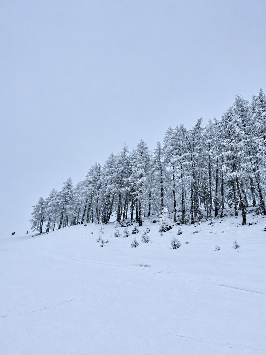 Winter Whisper – origineel SsenZz-design