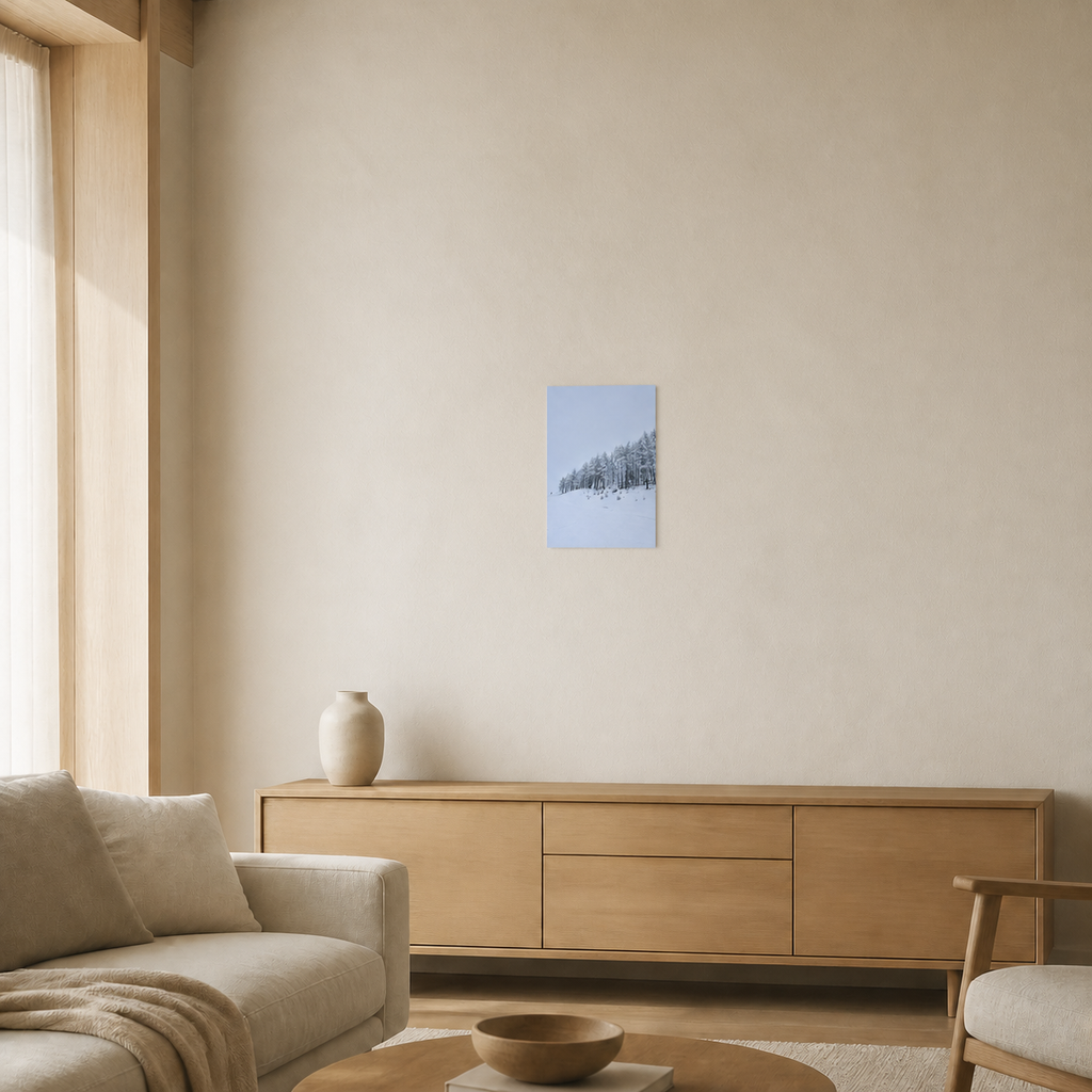 Winter Whisper wanddecoratie 20×30 cm in een woonkamer, schaalindicatie